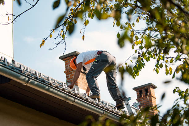 Best Roofing Contractor Near Me  in Seville, OH
